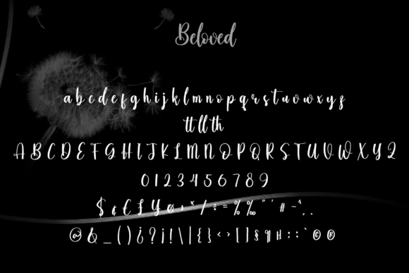 Beloved Font - Preview 5