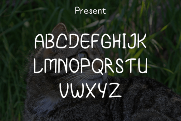 Catty Font - Preview 1