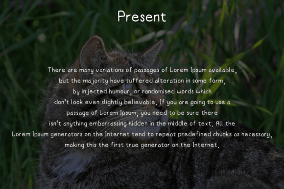 Catty Font - Preview 3