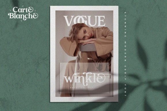 Carte Blanche Font - Preview 2