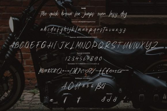 Harlledoc Font - Preview 5