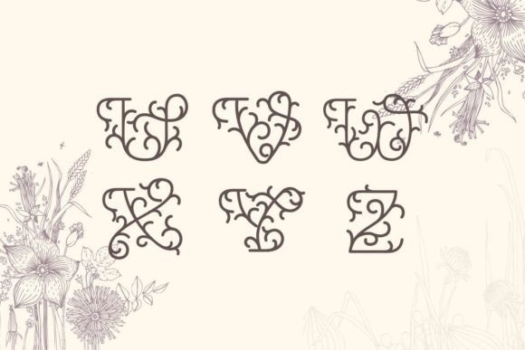 Prunellia Monogram Font PNG with transparent background - Preview 5