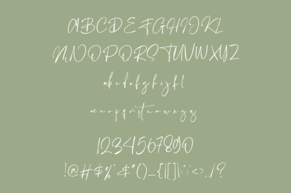 Ballison Font - Preview 6