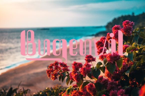 Cintiya Font - Preview 6