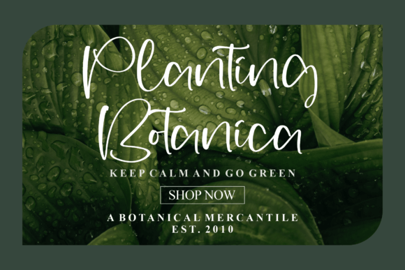 Raticale Font PNG with transparent background - Preview 2