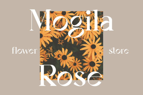Airy Restoration Font - Preview 6