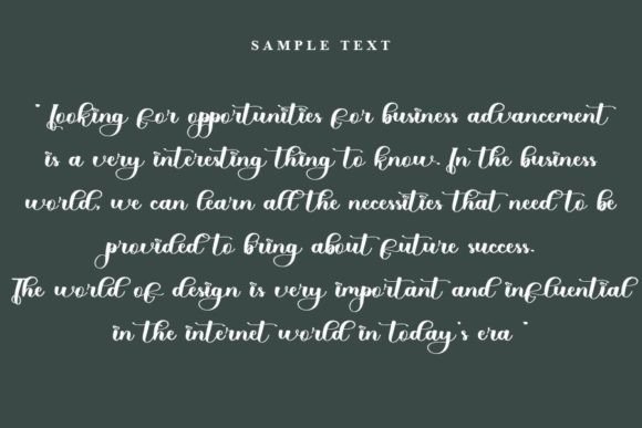 Body Font - Preview 3