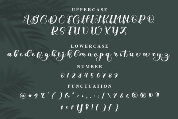 Body Font - Preview 5