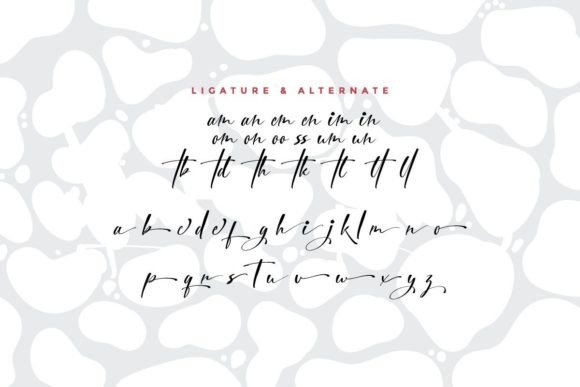 City Halle Font - Preview 5