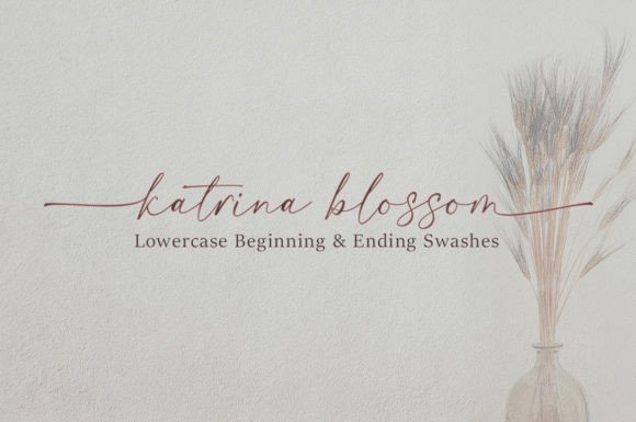 Dona Angelisa Font PNG with transparent background - Preview 5
