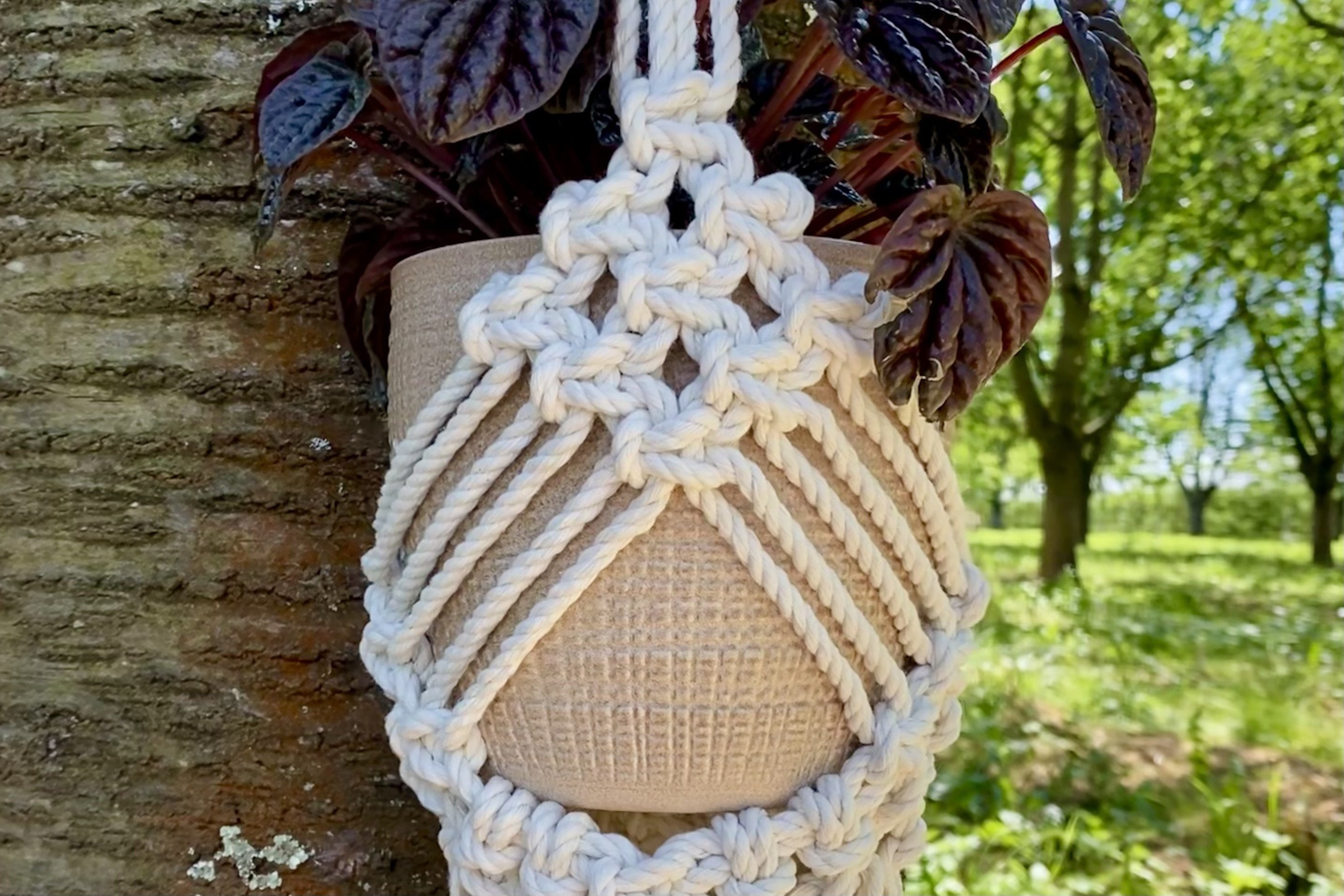 Macrame Plant Hanger