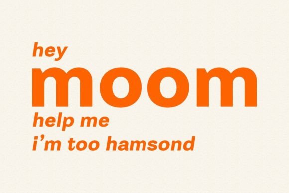 Ritola Sans Font PNG with transparent background - Preview 3
