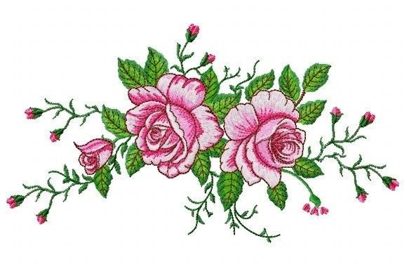 Beautiful Rose