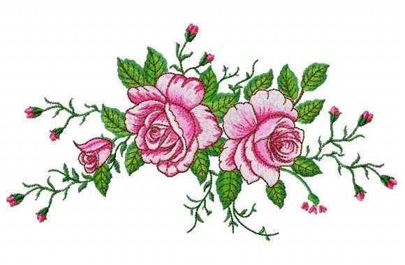 Beautiful Rose