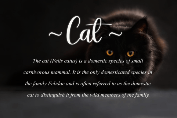 Boho Font - Preview 2