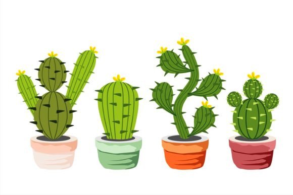 Cactus Grafik Von edywiyonopp  Creative Fabrica