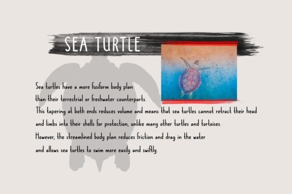 Dolphines Font - Preview 5