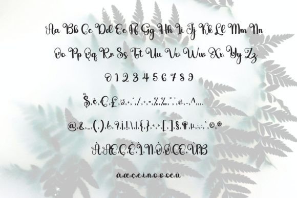 Janggly Font PNG with transparent background - Preview 4
