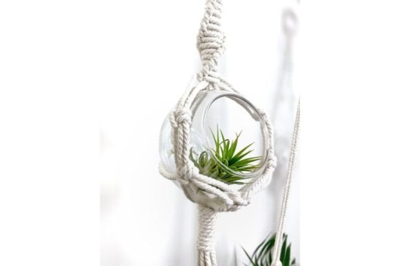 Macrame Air Plant Hanger