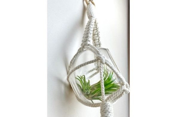 Macrame Air Plant Hanger