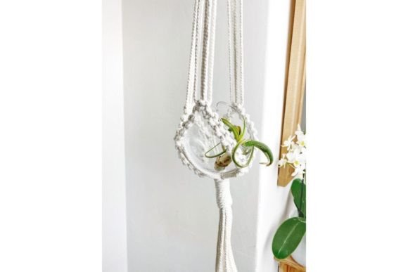 Macrame Air Plant Hanger