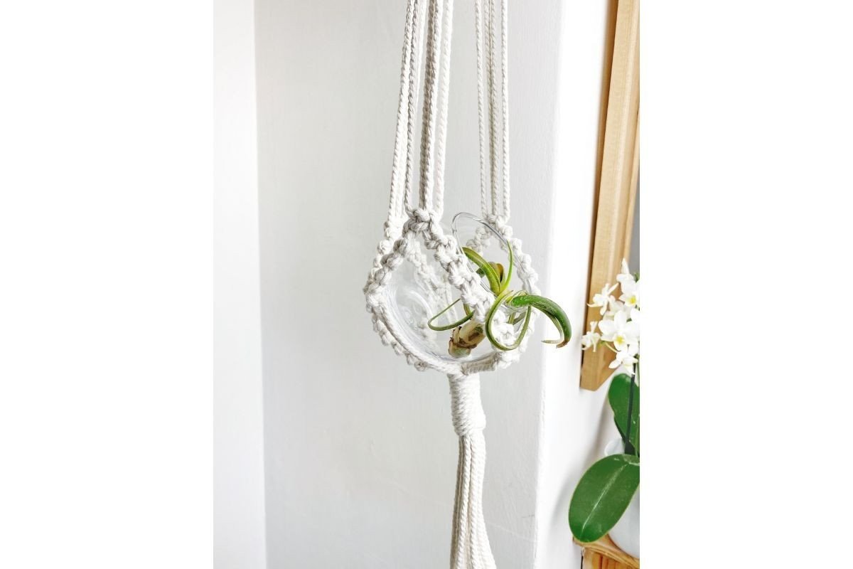 Macrame Air Plant Hanger