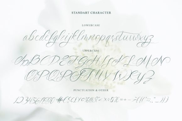 Saint Flow Font PNG with transparent background - Preview 2