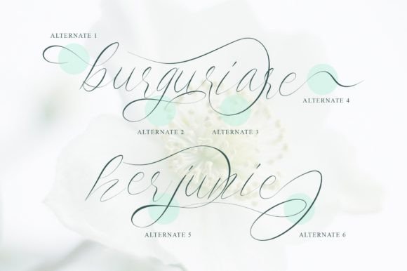 Saint Flow Font PNG with transparent background - Preview 3