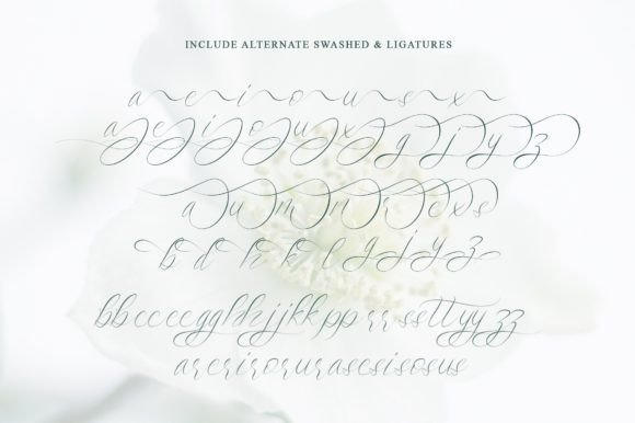 Saint Flow Font PNG with transparent background - Preview 4