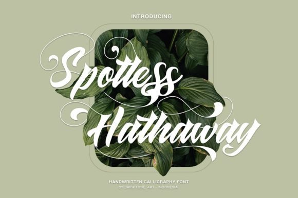 Spotless Hathaway
