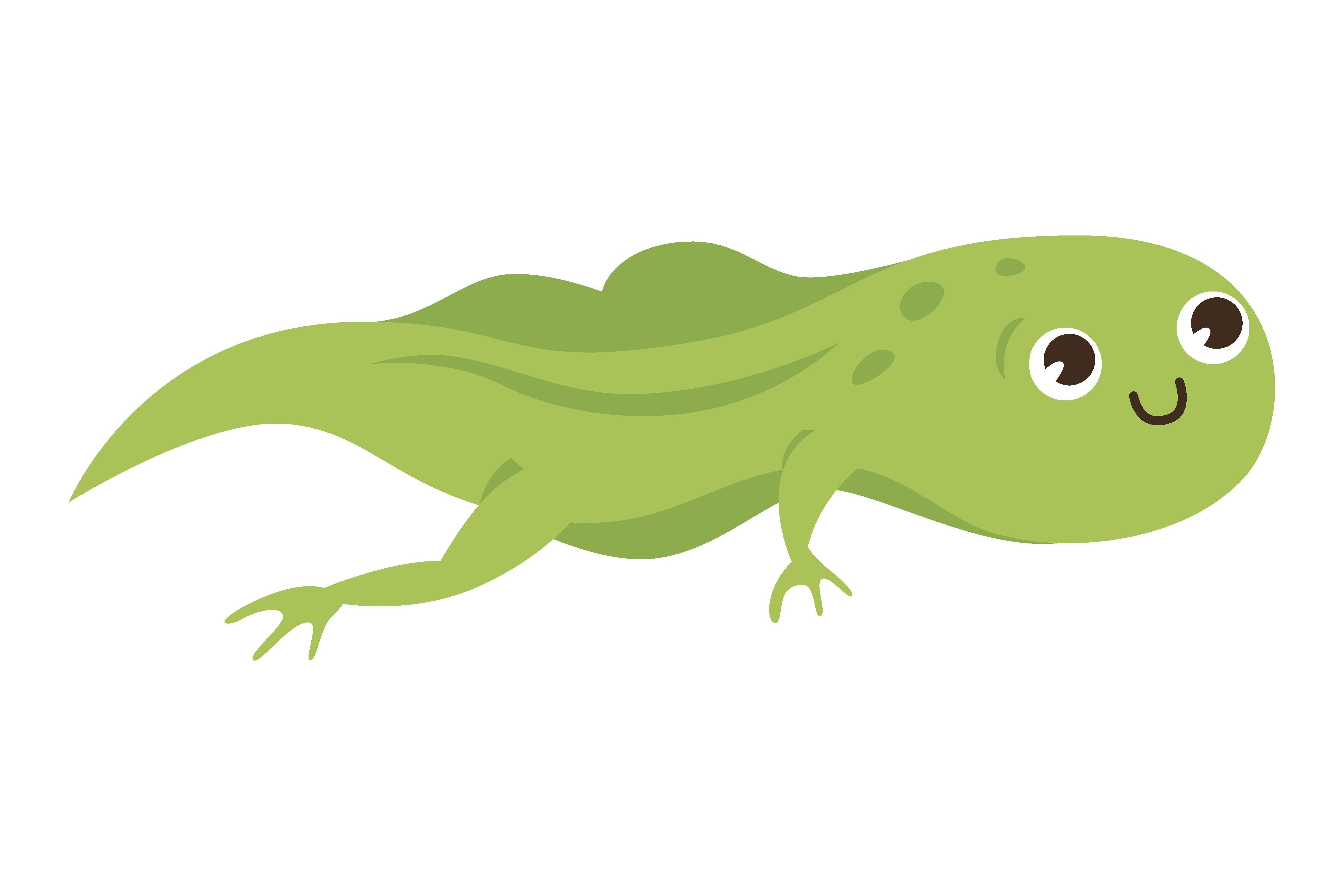Tadpole Cartoon Character Vector Illustr Gráfico por pch.vector