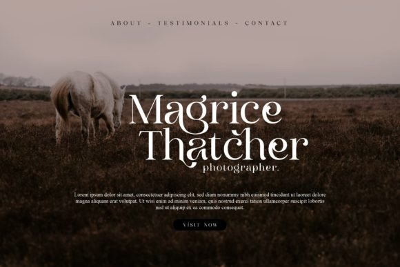 Clarine Font - Preview 2