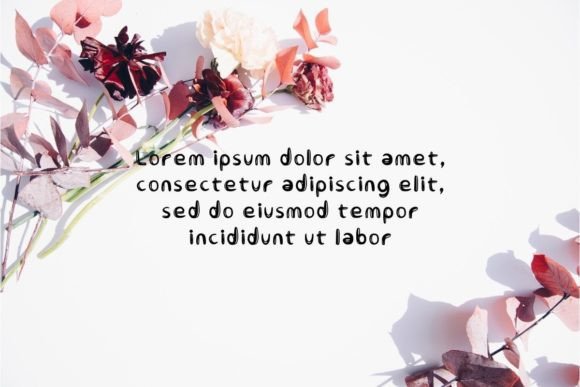 Nendora Font PNG with transparent background - Preview 1