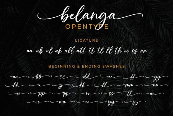 Belanga Font - Preview 6