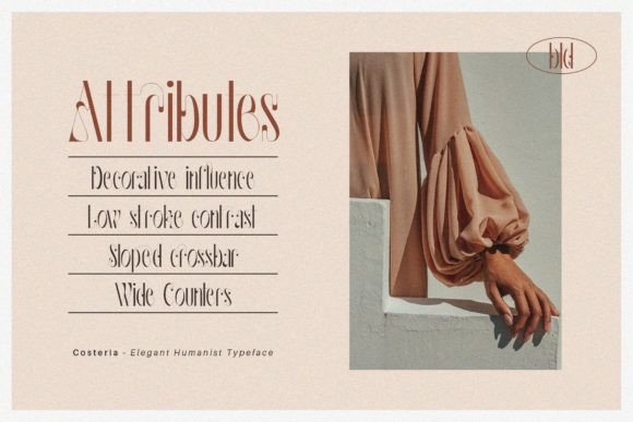 Costeria Font - Preview 4