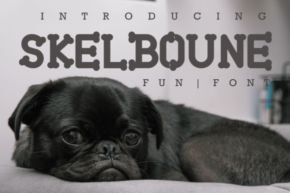 Skelboune Fonts