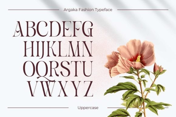 Argaka Fashion Font - Preview 3