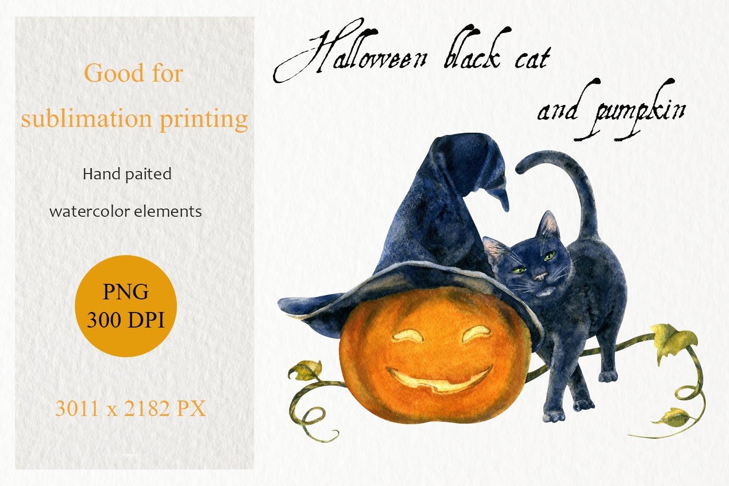 Halloween Black Cat Pumpkin Png Graphic by WatercolorArtByOlga ...