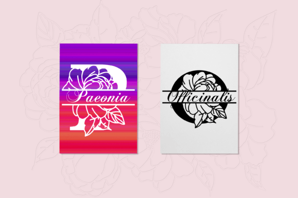 Peony Split Font PNG with transparent background - Preview 3