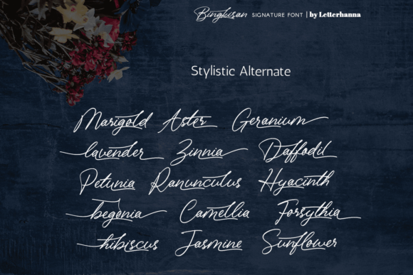 Bingkisan Font - Preview 4