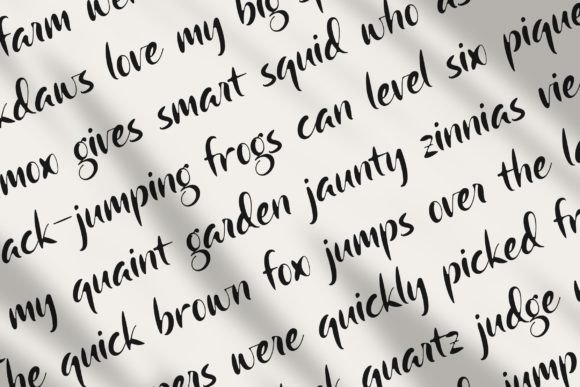 Camerota Font - Preview 4