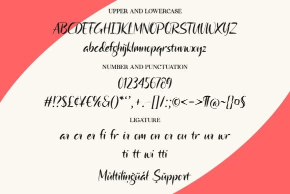 Camerota Font - Preview 5