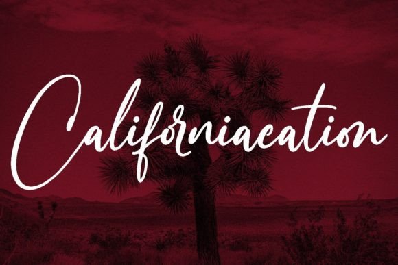 Diveshorts Font - Preview 2