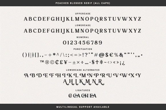 Peaches Blessed Duo Font PNG with transparent background - Preview 5