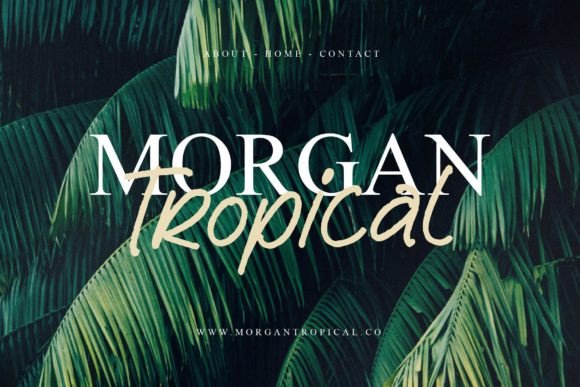 Reyhart Sejenack Font PNG with transparent background - Preview 5