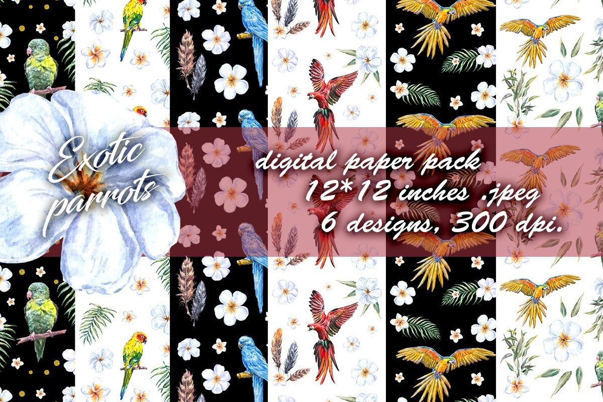 Tropical Bird Parrot Digital Paper Pack Graphic by vilkat · Creative ...