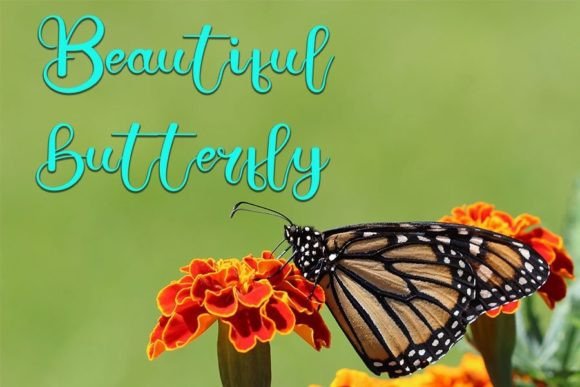 Beautiful Sunset Font - Preview 2