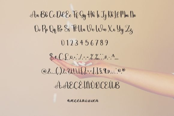 Capture Font - Preview 4