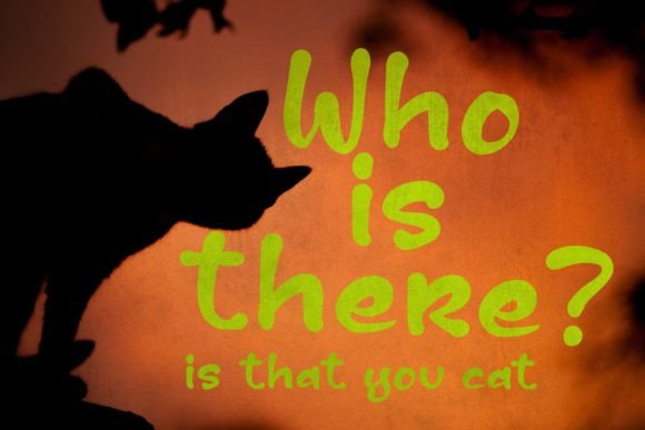 Crazy Midnight Font PNG with transparent background - Preview 6