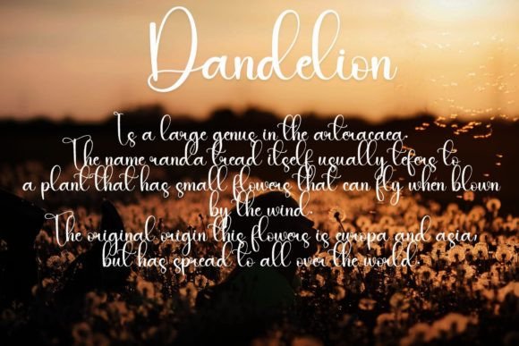 Dandelion Font - Preview 2